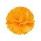 Wrapables Set of 12 Tissue Pom Pom Party Decorations for Weddings, Birthday Parties Baby Showers and Nursery Decor, Peach/Orange/Tan/Ivory